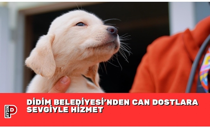 DİDİM BELEDİYESİ’NDEN CAN DOSTLARA SEVGİYLE HİZMET