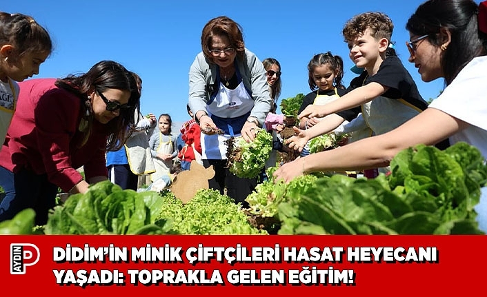 DİDİM’İN MİNİK ÇİFTÇİLERİ HASAT HEYECANI YAŞADI: TOPRAKLA GELEN EĞİTİM!
