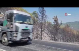 Bozdoğan'da yeşil siyaha döndü