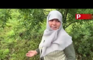 Nazilli'de Demirciler Mahallesi sele teslim oldu