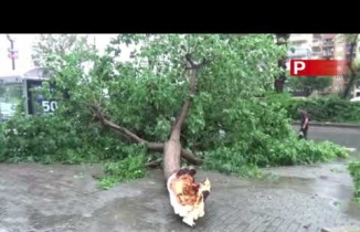 Sağanak yağış yolları göle çevirdi, ağaçları devirdi